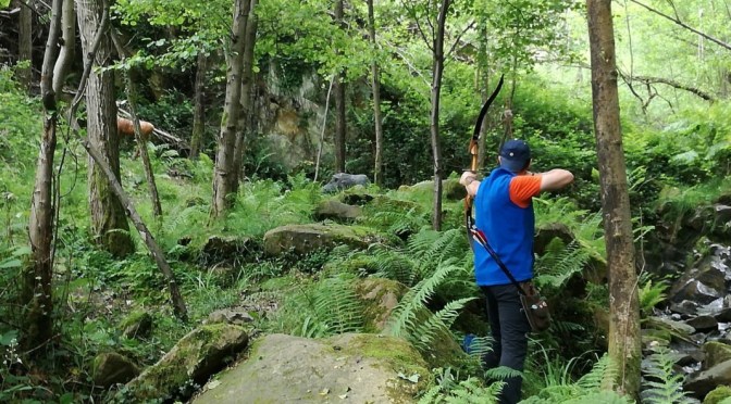 XII Tirada de bosque Gezi-Bide